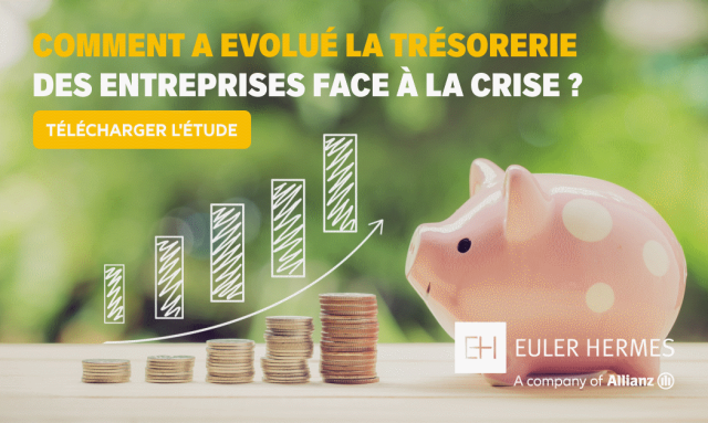 Trésorerie des entreprises françaises et européennes : un excès de liquidités concentré dans certains secteurs