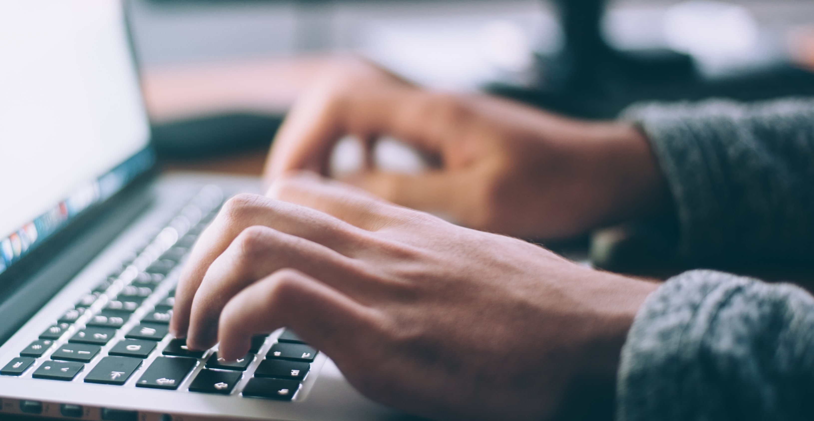 useful description of image if informative and not decoration only.