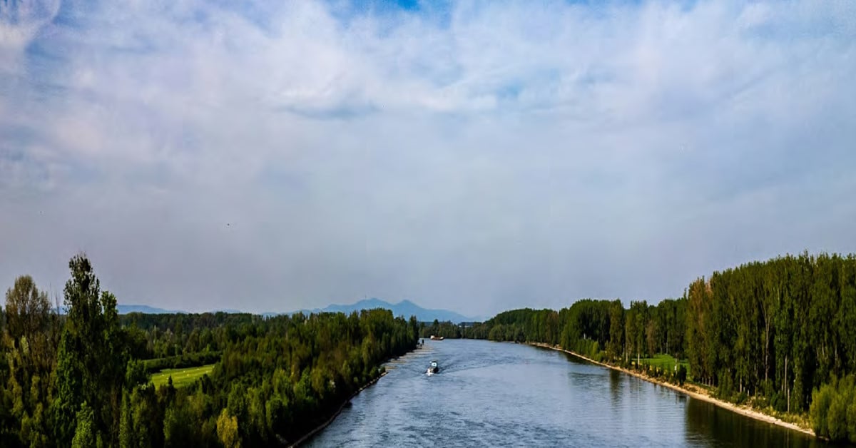Paysage avec une rivière bordée de forêt