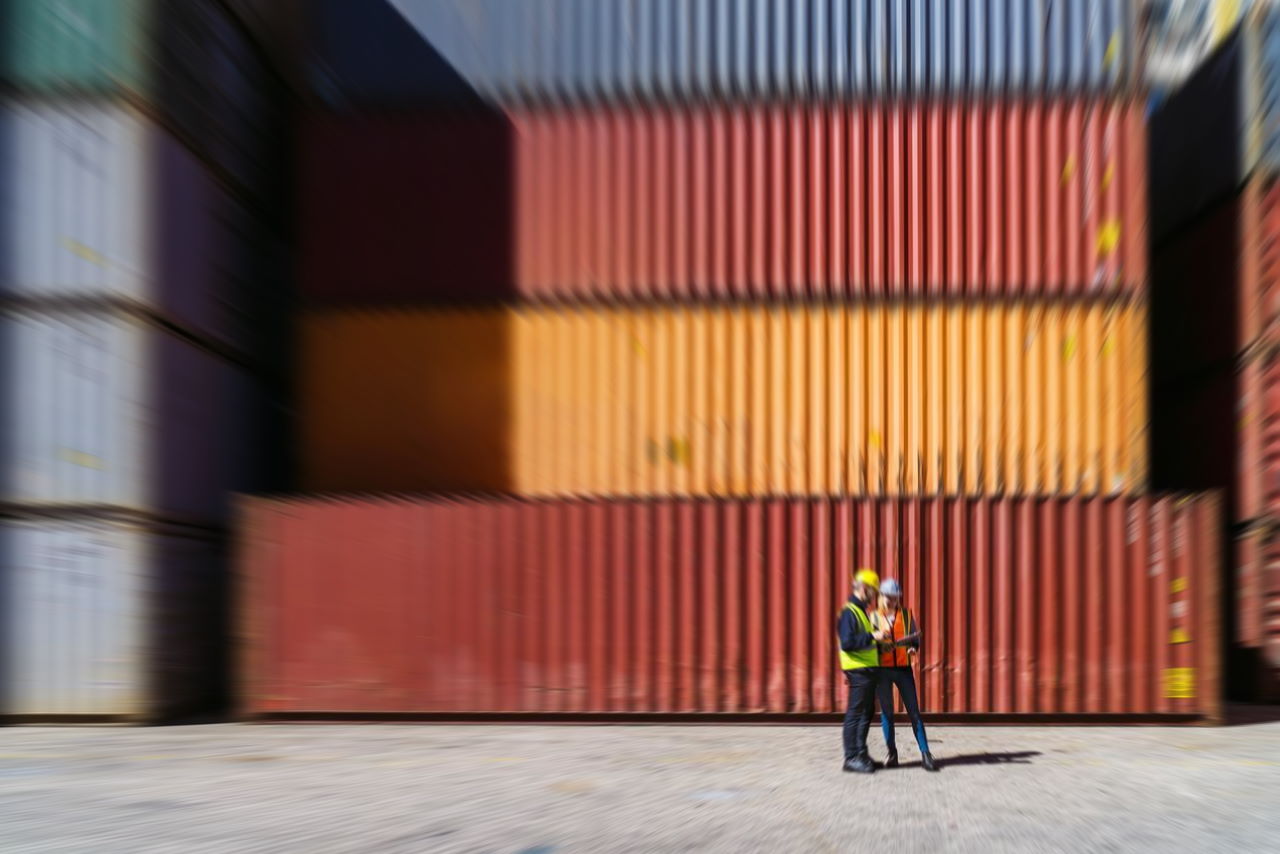 useful description of image if informative and not decoration only.